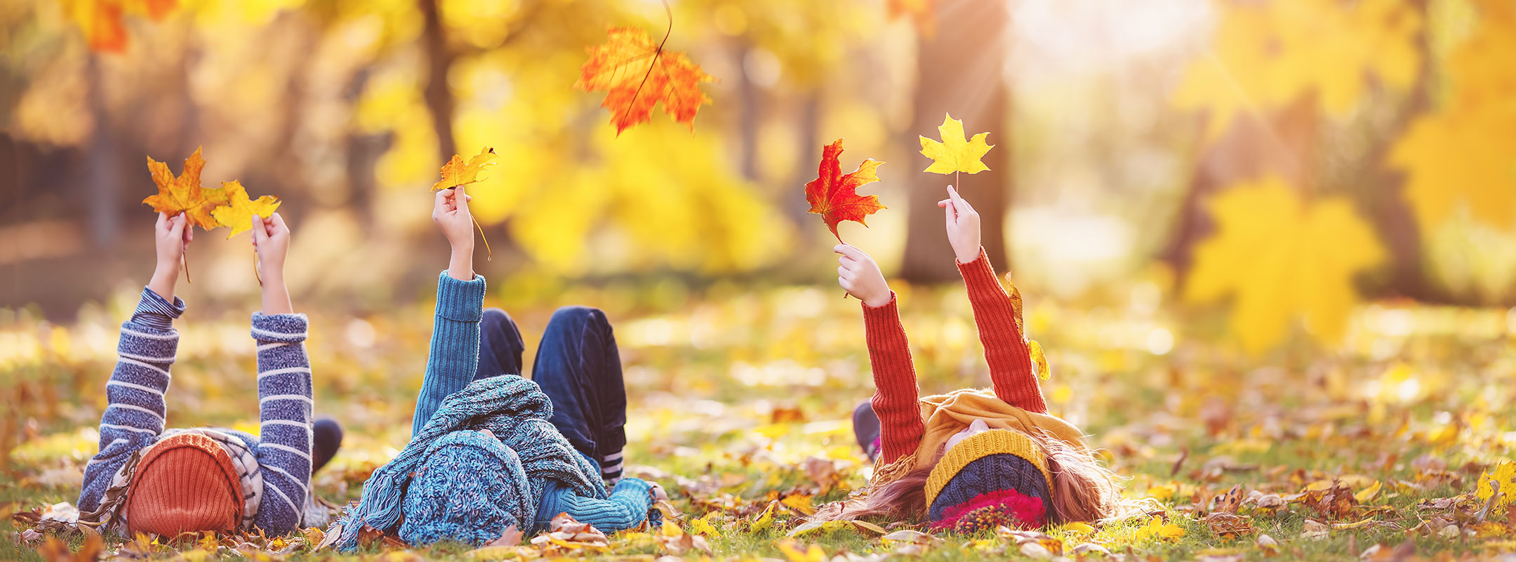 Fall Children
