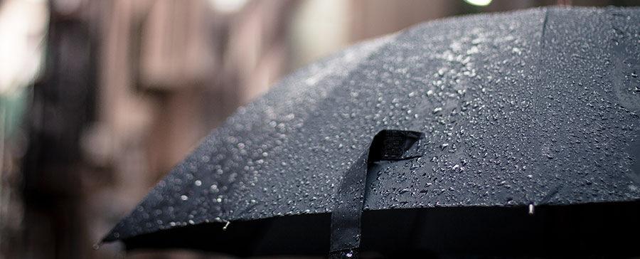 Umbrella in the rain